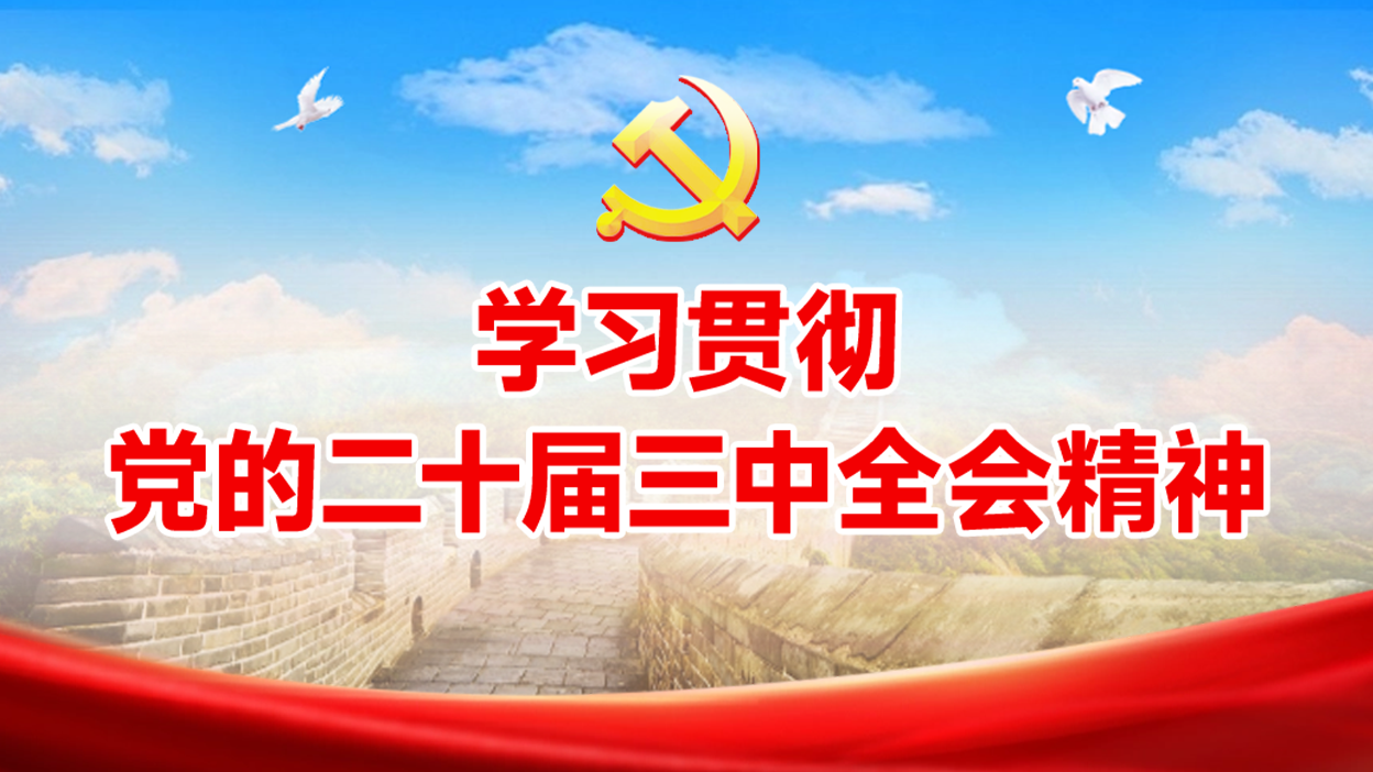 学习贯彻党的二十届三中全会精神